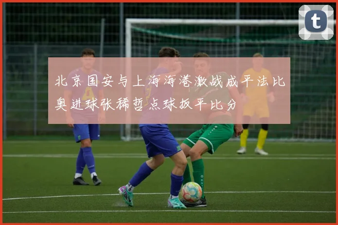 北京国安与上海海港激战成平法比奥进球张稀哲点球扳平比分
