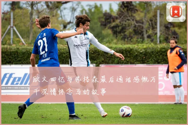 欧文回忆与弗格森最后通话感慨万千深情怀念马的故事