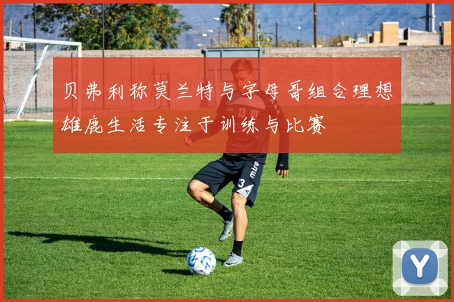 贝弗利称莫兰特与字母哥组合理想雄鹿生活专注于训练与比赛