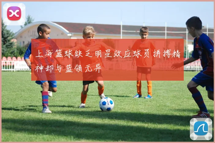 上海篮球缺乏明星效应球员拼搏精神却与蓝领无异